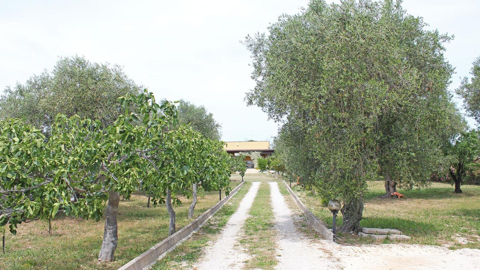 Le Sete Bed and Breakfast Μπάρι Εξωτερικό φωτογραφία
